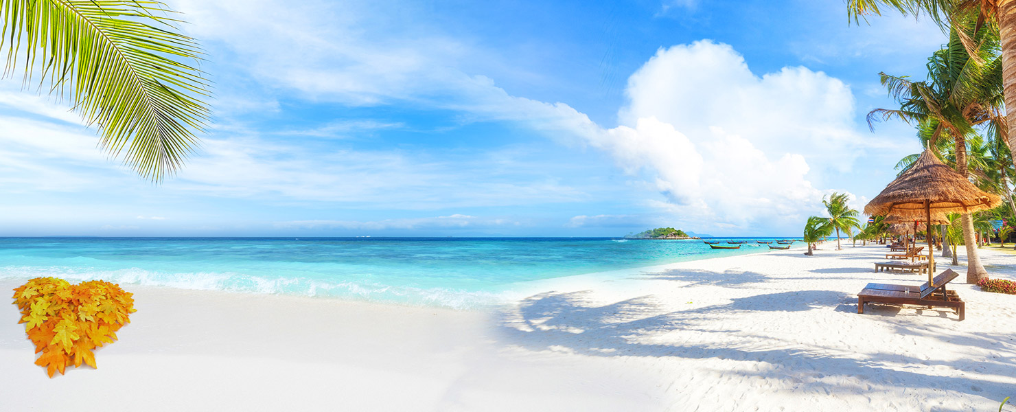 Fall Vacations ON SALE